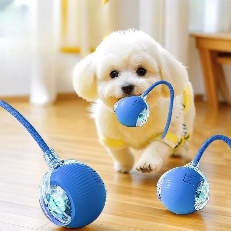 Automatic Cat Toy Ball – Silicone Rolling & Teasing Smart Kitten Toy