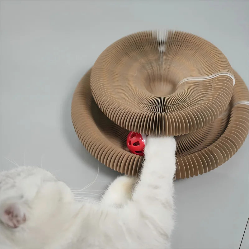 Kitten Curl Toy – Foldable Magic Cat Scratcher & Interactive Bed