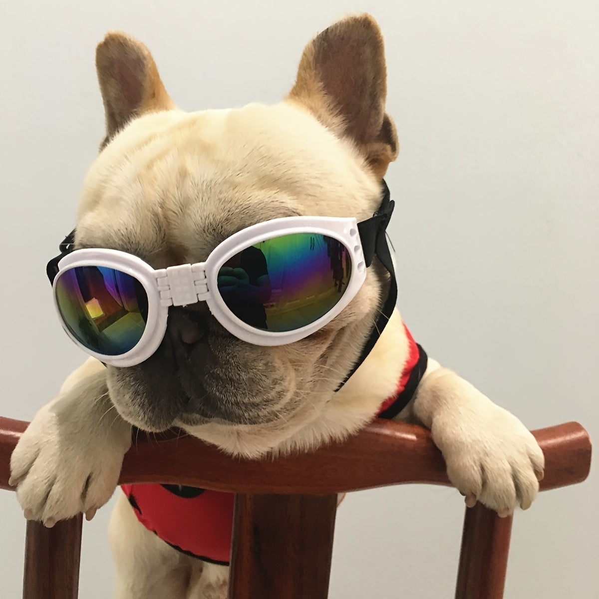 UV Protection Dog Sunglasses with Adjustable Head Strap - Keep Your Pet's Eyes Safe and Stylish