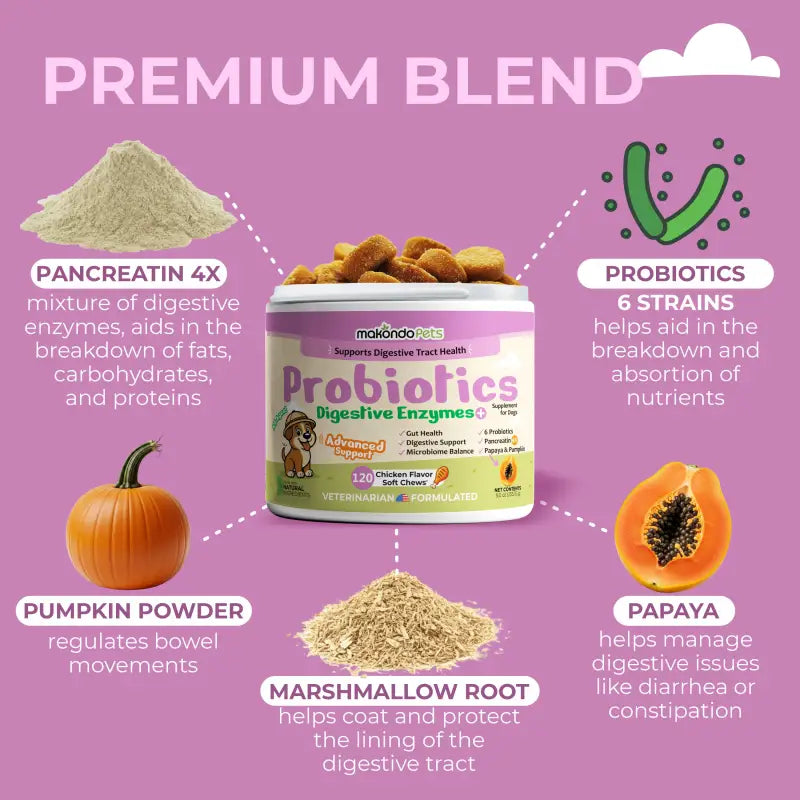Dog Probiotics Digestive Enzymes - 120 Soft Chews